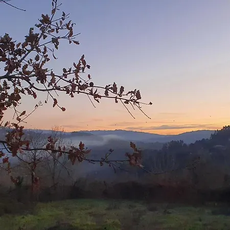 팜스테이 Quinta Da Lameirinha Douro, Boutique - Heated Pool And Jacuzzi *