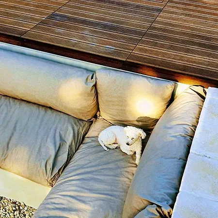 农家乐 Quinta Da Lameirinha Douro, Boutique - Heated Pool And Jacuzzi *