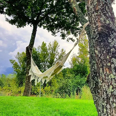 Quinta Da Lameirinha Douro, Boutique - Heated Pool And Jacuzzi 팜스테이