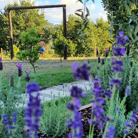 Quinta Da Lameirinha Douro, Boutique - Heated Pool And Jacuzzi * 拜昂