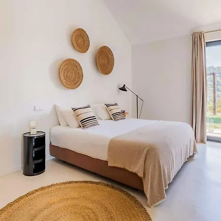 Quinta Da Lameirinha Douro, Boutique - Heated Pool And Jacuzzi 팜스테이